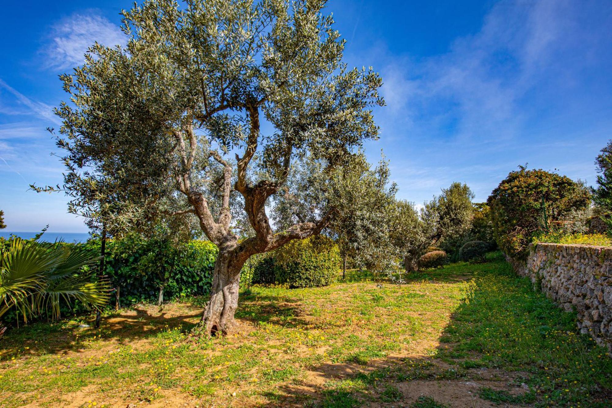 Il Cottage Di Villa Sveva, Splendida Vista Mare ポルト・サント・ステーファノ エクステリア 写真